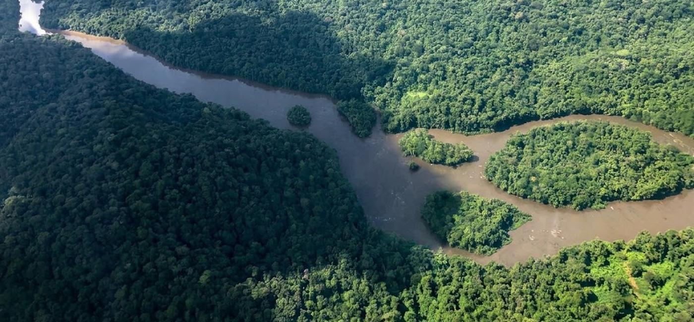 Vue aérienne d'un fleuve de Guyane serpentant dans la forêt